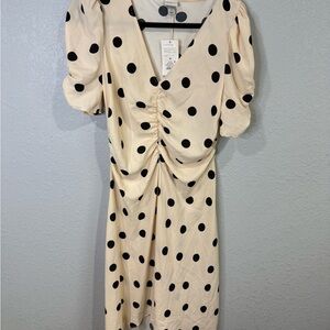 Polka Dot Cream Dress New